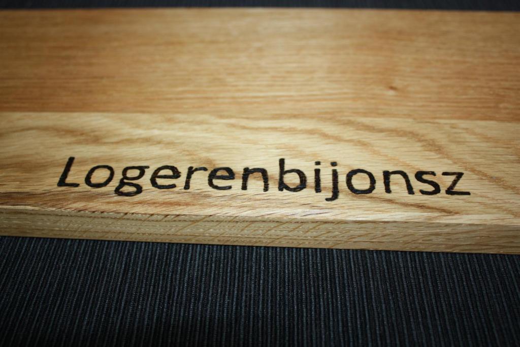 Logerenbijonsz room 4